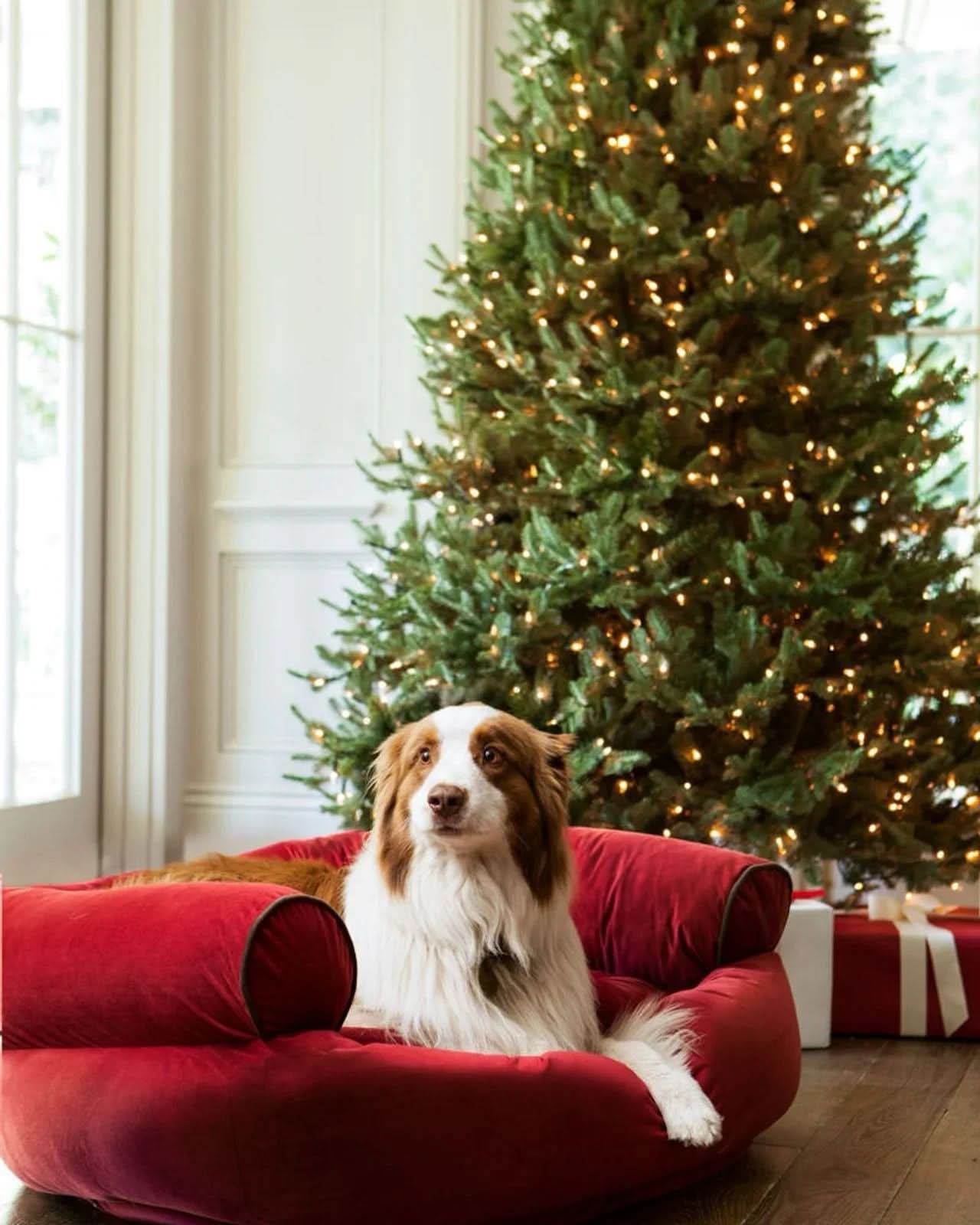 Green White Spruce Christmas Tree with Hinged Branches, Metal Stand and Built-In Micro LEDs