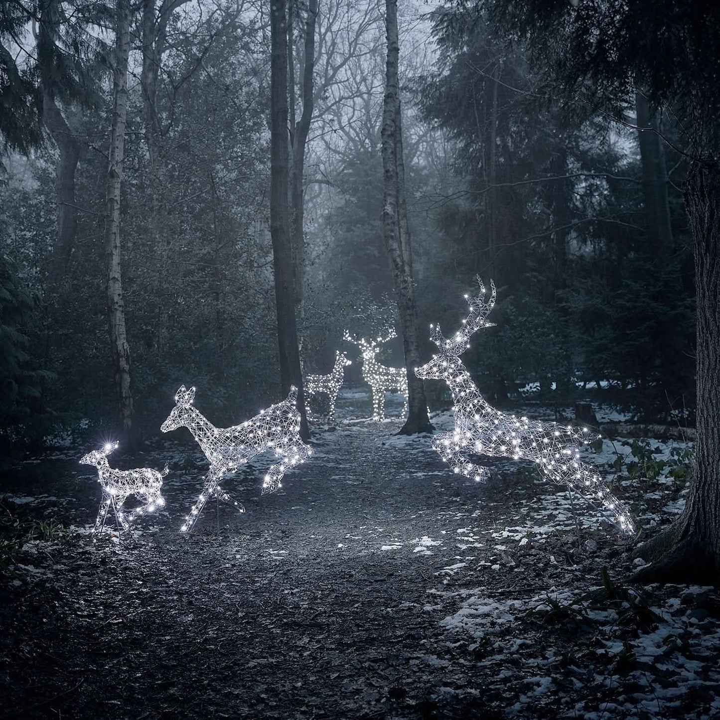 5-Piece Christmas Reindeer Set with Dual-Colour LED Lights