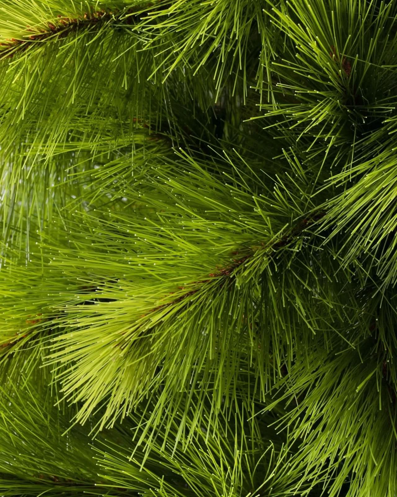 Monterey Pine Slim Christmas Tree with Hinged Branches, Metal Stand and Built-In Micro LEDs