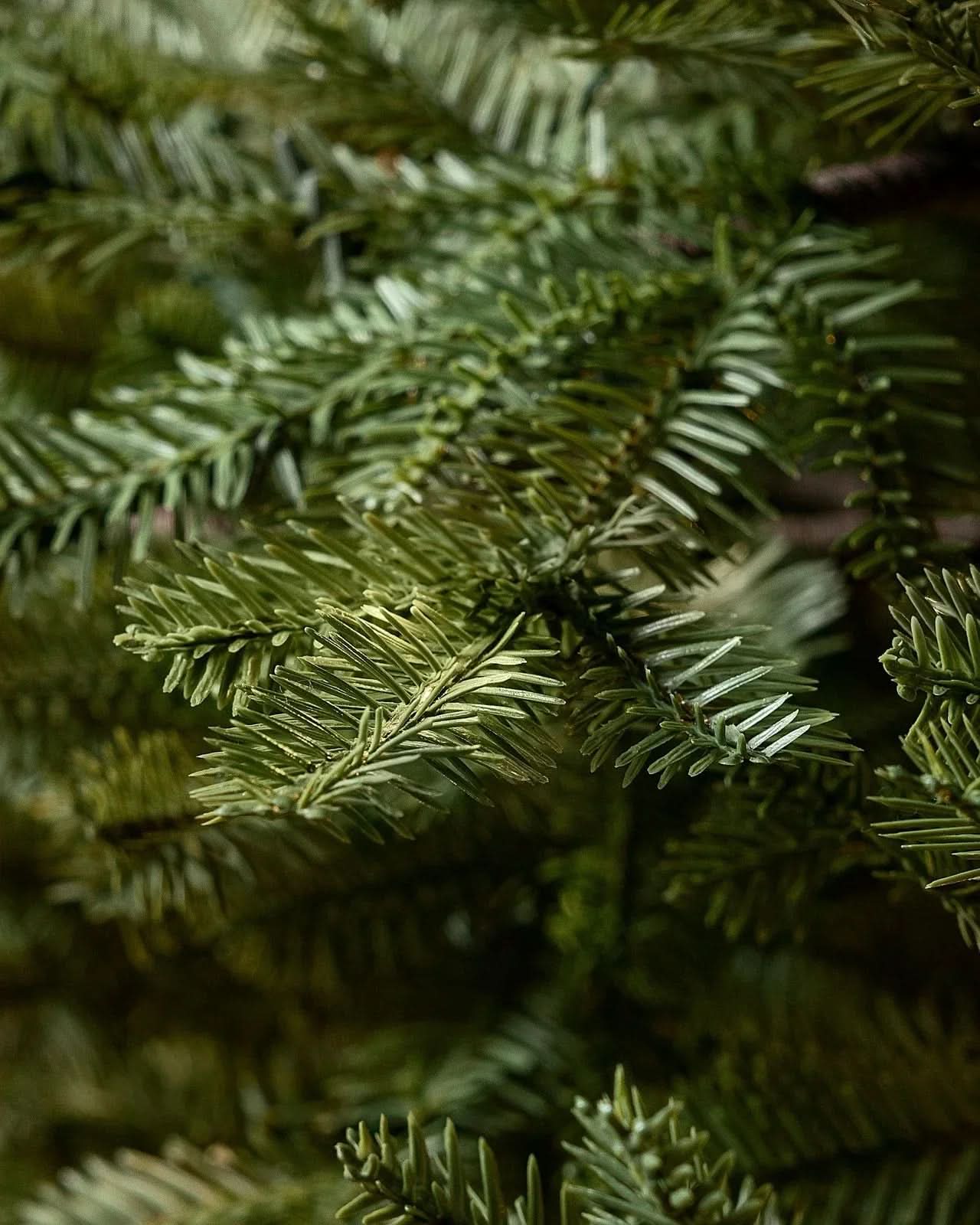 Premium Green Flip Tree Christmas Tree with Hinged Branches, Metal Stand with Wheels and Built-In Micro LEDs