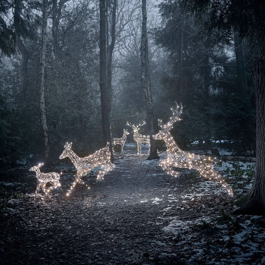 5-Piece Christmas Reindeer Set with Dual-Colour LED Lights